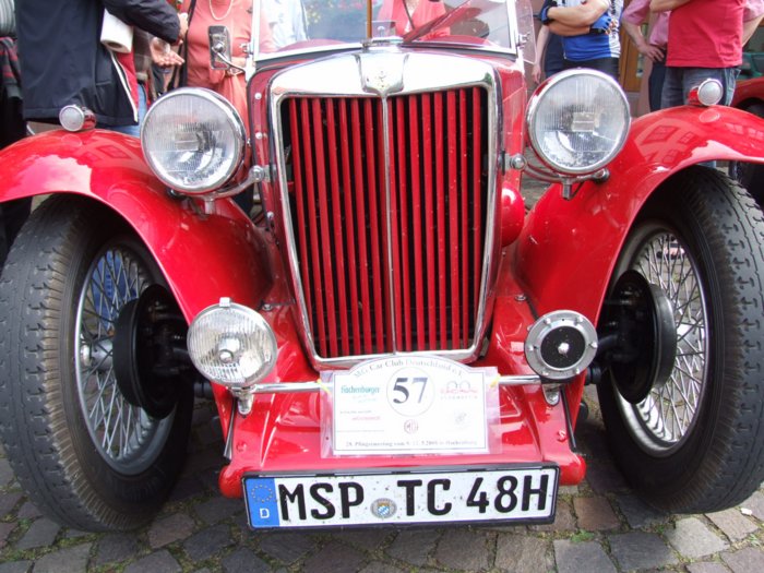 mg_227.jpg