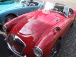 mg_205.jpg