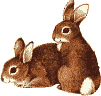 Frohe Ostern