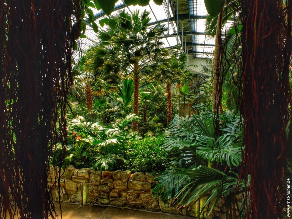 palmengarten__439.jpg