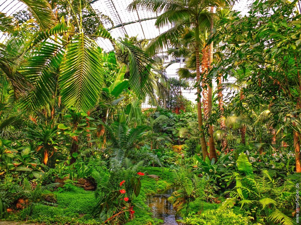 palmengarten__470.jpg