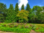 palmengarten__387.jpg
