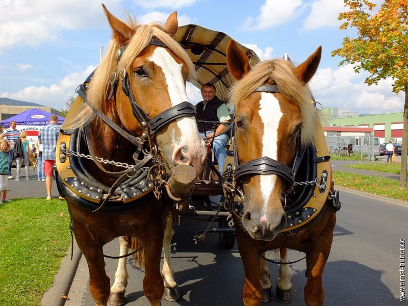 pohlhoffest2014__167.jpg