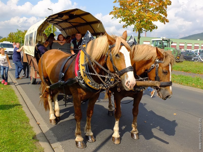 pohlhoffest2014__170.jpg