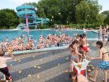 poolparty__250.jpg