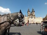 prag01__107.jpg