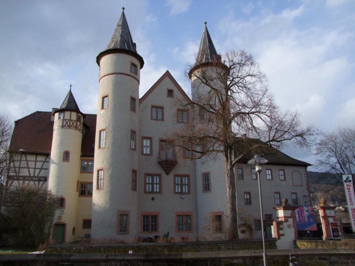 lohr_02_2010__002.jpg