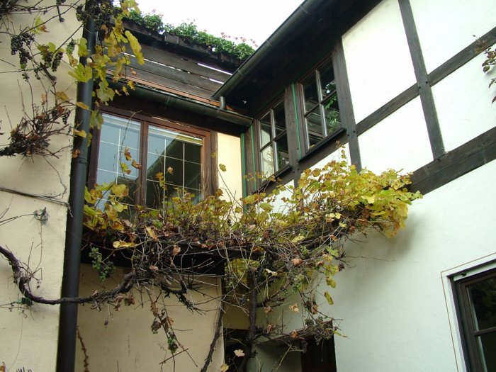 rambourfest_017.jpg