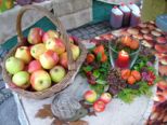 rambourfest_024.jpg