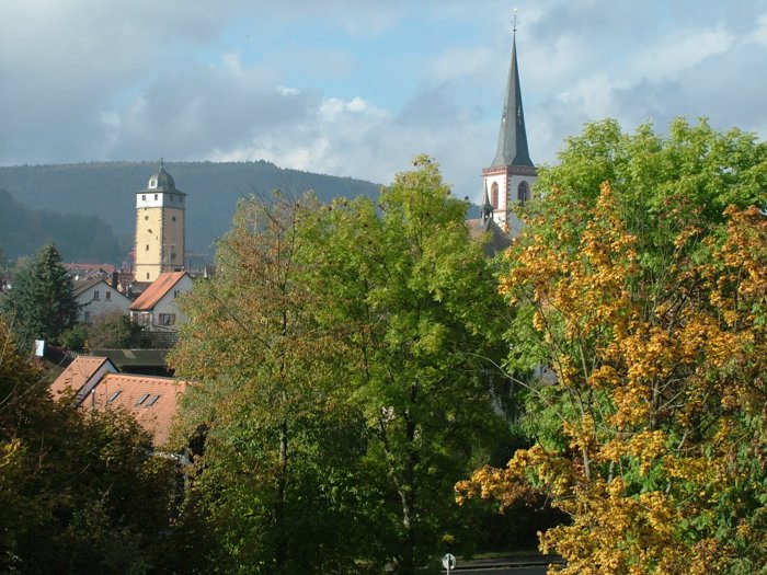 rambourfest2009__009.jpg