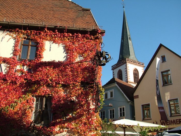 rambourfest2009__347.jpg