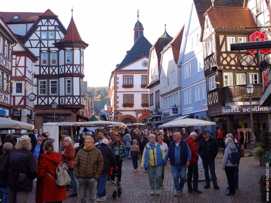 rambourfest2026-__105.jpg