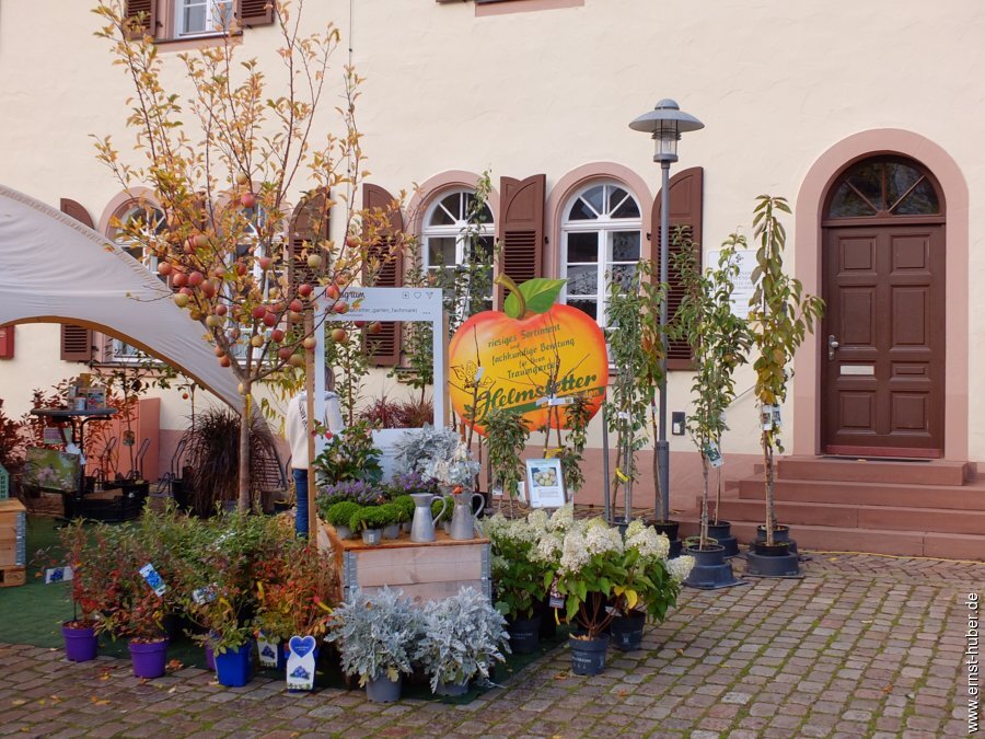 rambourfest2026-__122.jpg