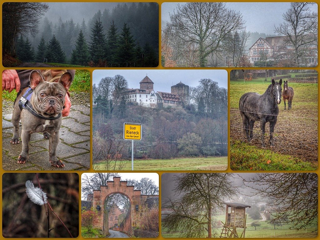 Adventsspaziergang auf den Spuren der Grafen von Rieneck...