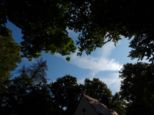 rochus2025___250.jpg
