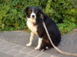 700rodenbach_so___073.jpg