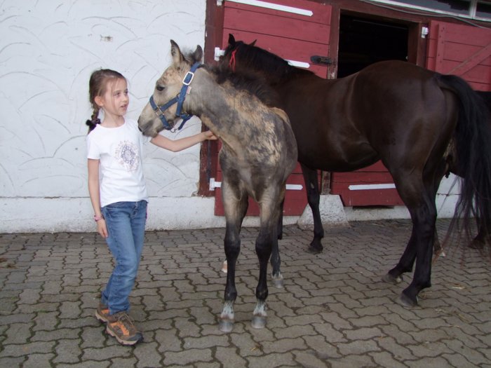 roosen__406.jpg