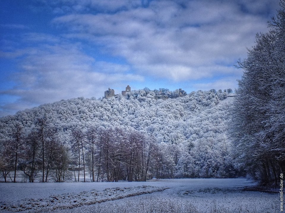 ruine_homburg_003.jpg