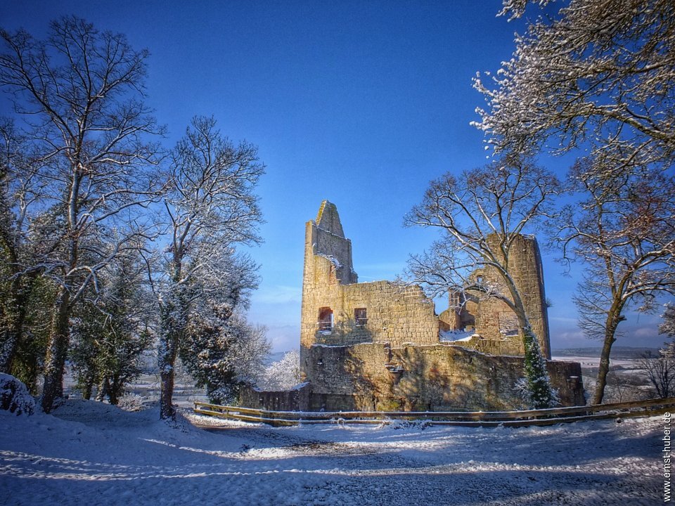 ruine_homburg_177.jpg