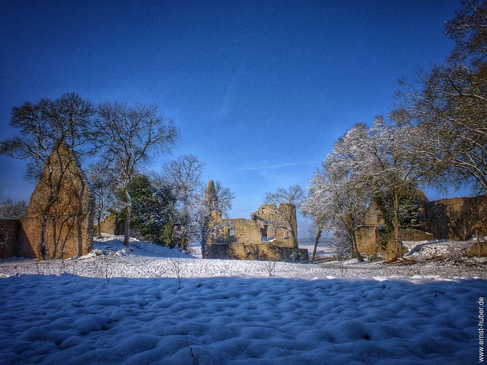 ruine_homburg_191.jpg