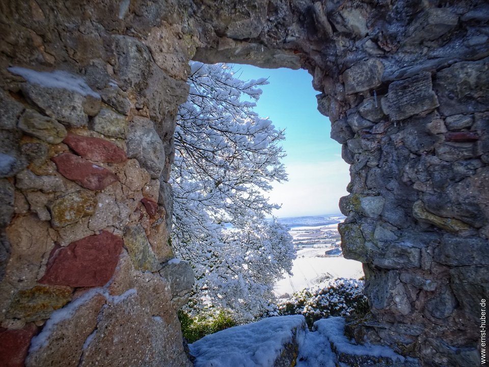 ruine_homburg_197.jpg