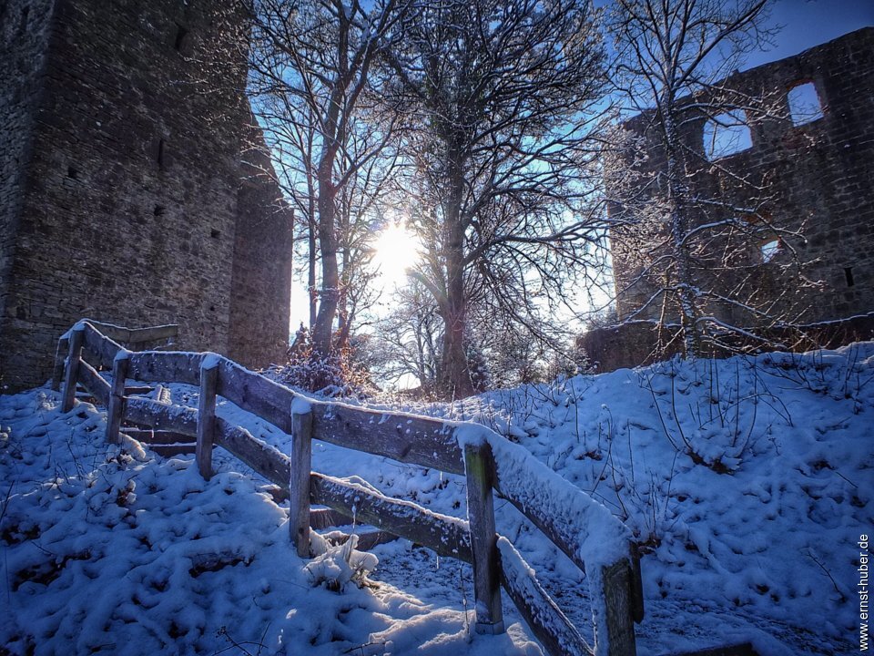 ruine_homburg_236.jpg