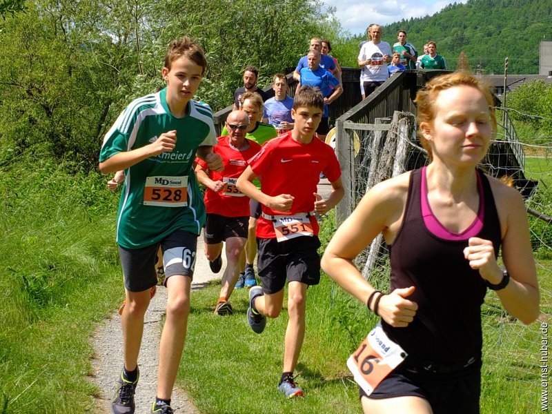 saaletallauf__106.jpg