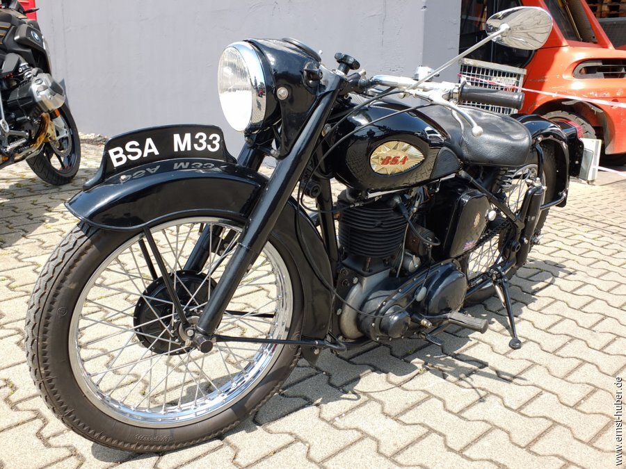 bulldog_saba___007.jpg