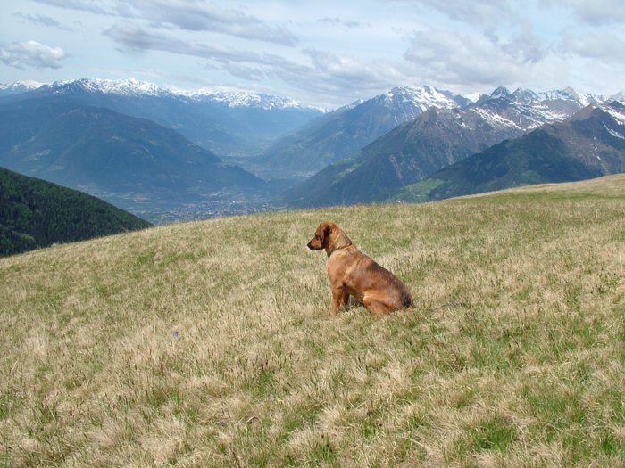 meran_154.jpg