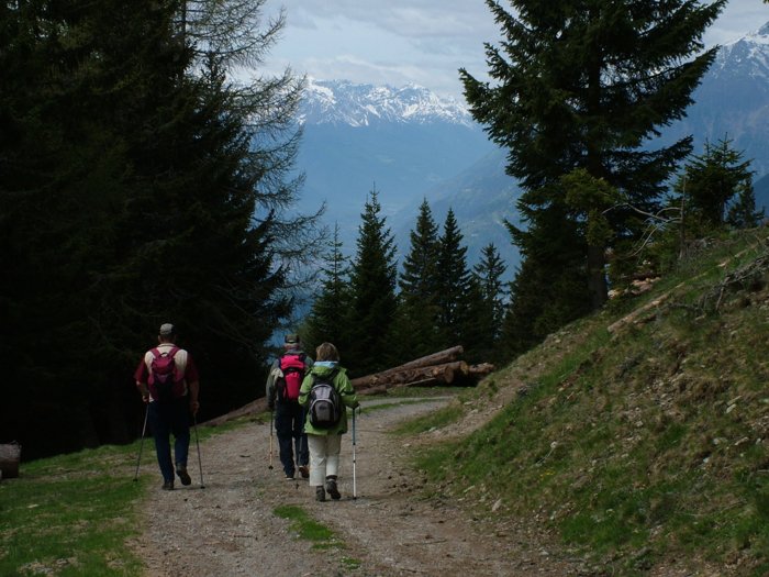 meran_169.jpg