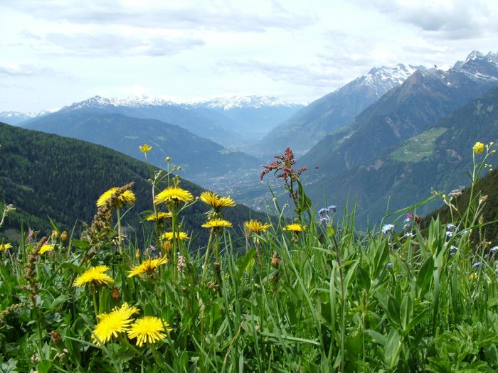 meran_181.jpg