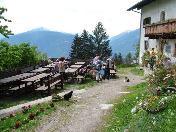 meran_204.jpg