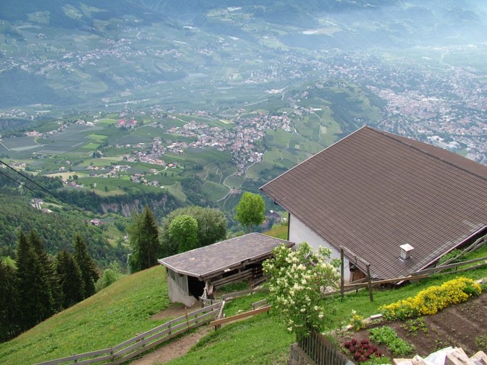 meran_227.jpg