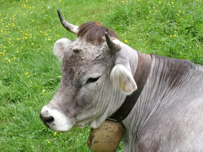 meran_267.jpg