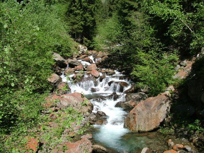 schenna_046.jpg