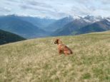meran_154.jpg