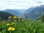 meran_181.jpg