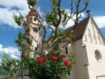meran_385.jpg