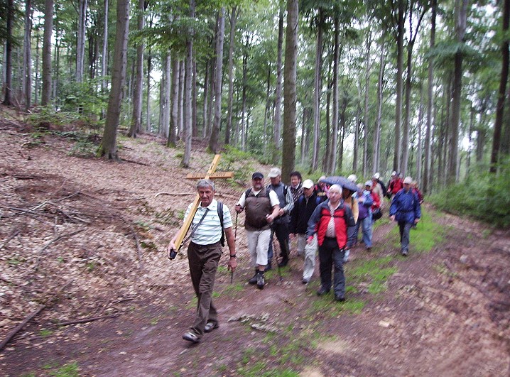 Wallfahrt der Pfarrei St. Pius nach Schmerlenbach