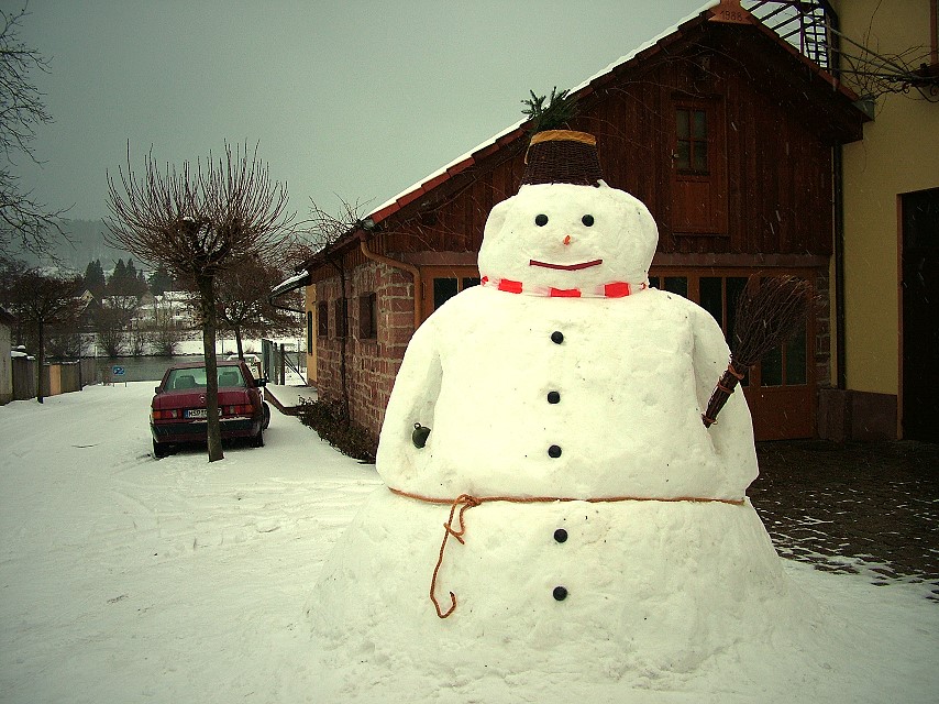 Der Sendelbacher Schneemann am 28. 1. 2010