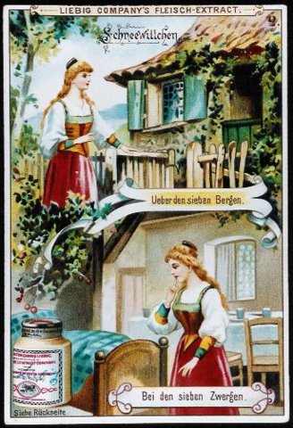 bild11.jpg