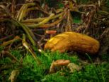 lohr_16_10_22__104-01.jpg