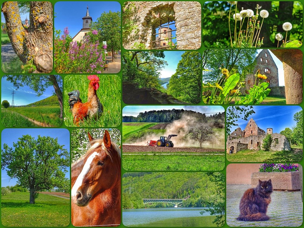 Kleine Fototour zur Ruine Schnrain in Main Spessart