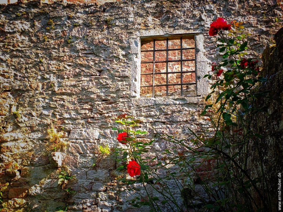 schoenrain09_21___015.jpg