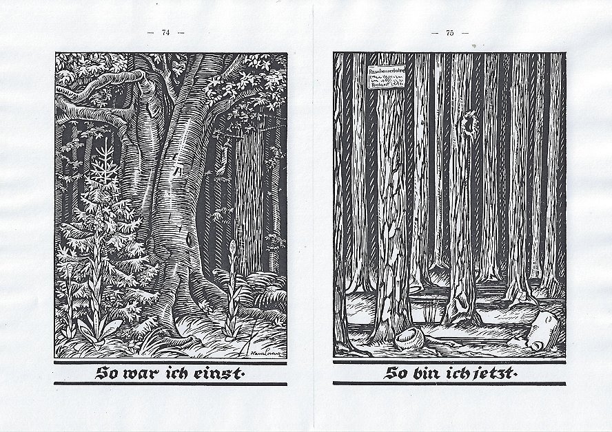Aus Naturkundliches Lesebuch, von Cornel Schmitt, Beltz-Verlag, 1928