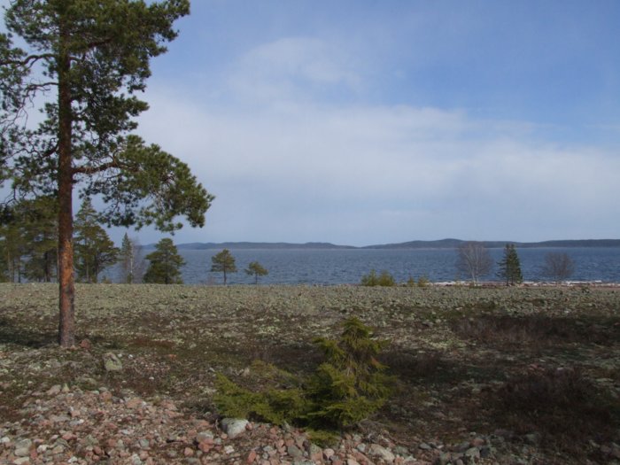 oernskoldsvik_02_05_11__118.jpg