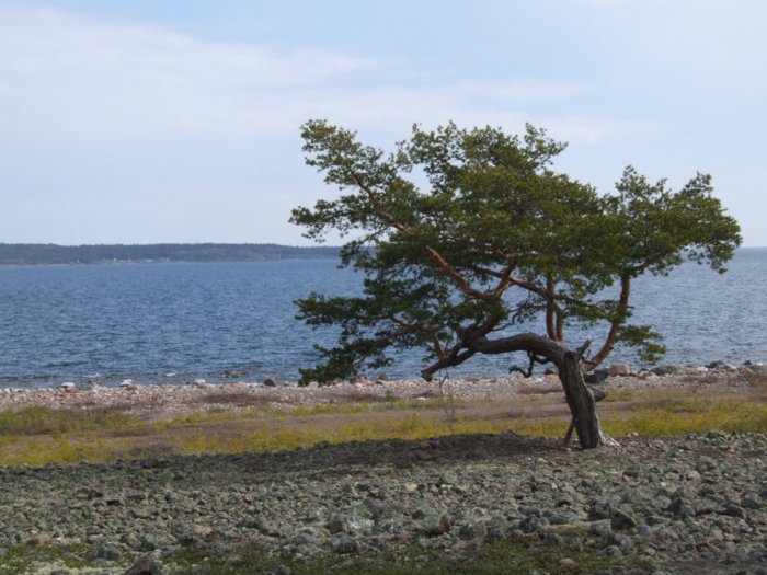 oernskoldsvik_02_05_11__124.jpg