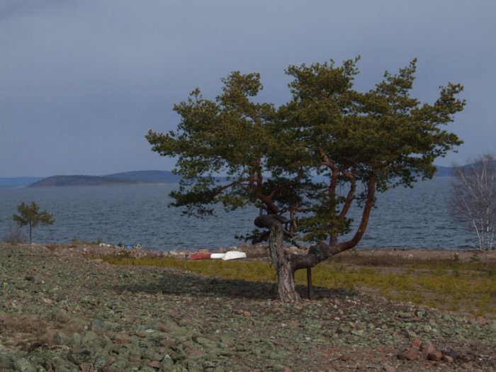 oernskoldsvik_02_05_11__132.jpg