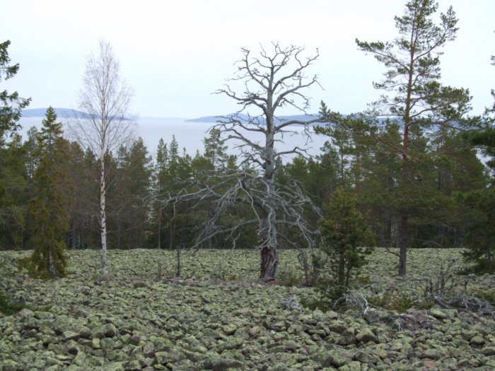 oernskoldsvik_02_05_11__176.jpg