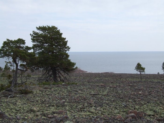 oernskoldsvik_02_05_11__221.jpg